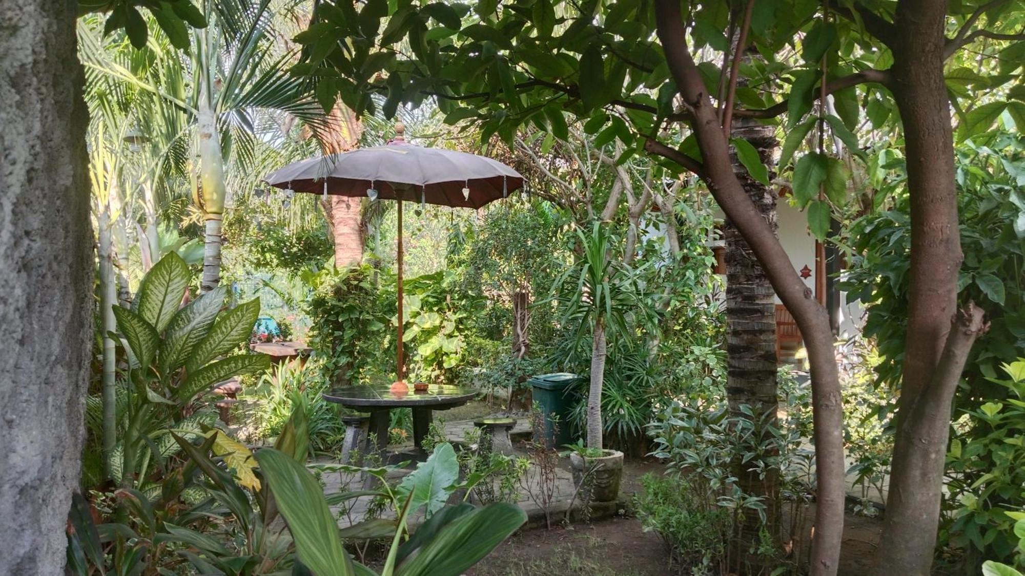 Van Santri Homestay Pemuteran Bagian luar foto