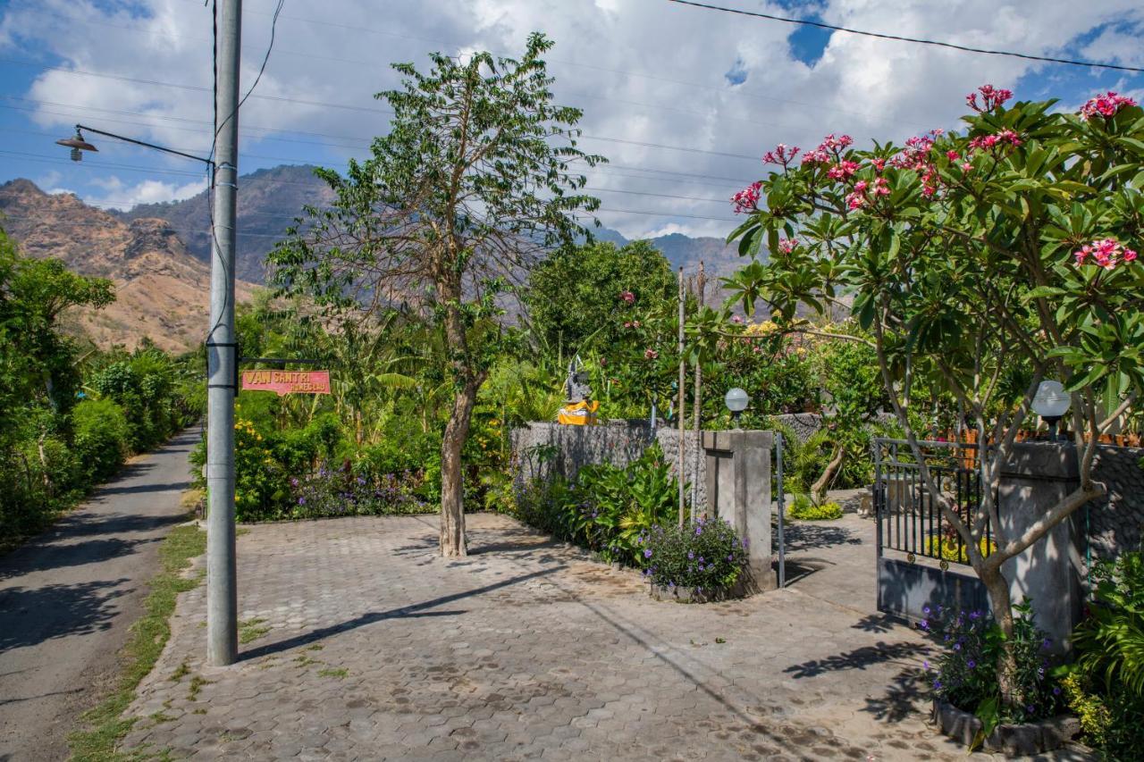 Van Santri Homestay Pemuteran Bagian luar foto